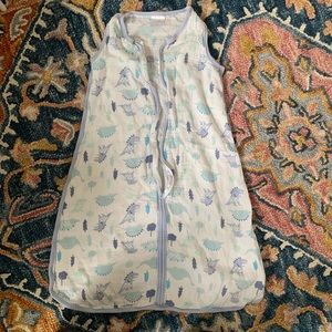 Aiden + Anais sleeping bag, Muslim, blue dinos, L